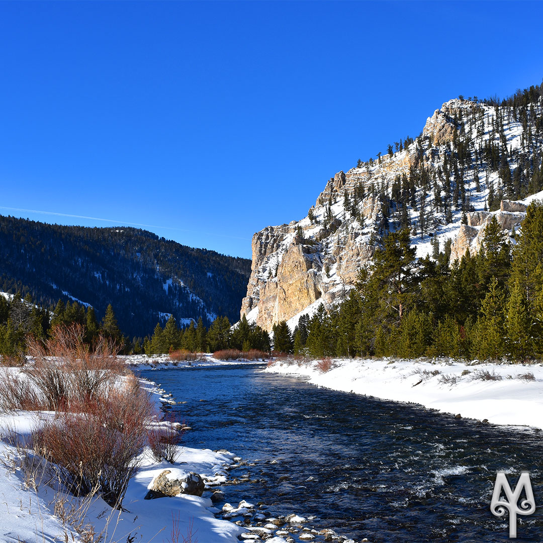 All Year On The Gallatin River  Photo and Video Blog, 01/19/20